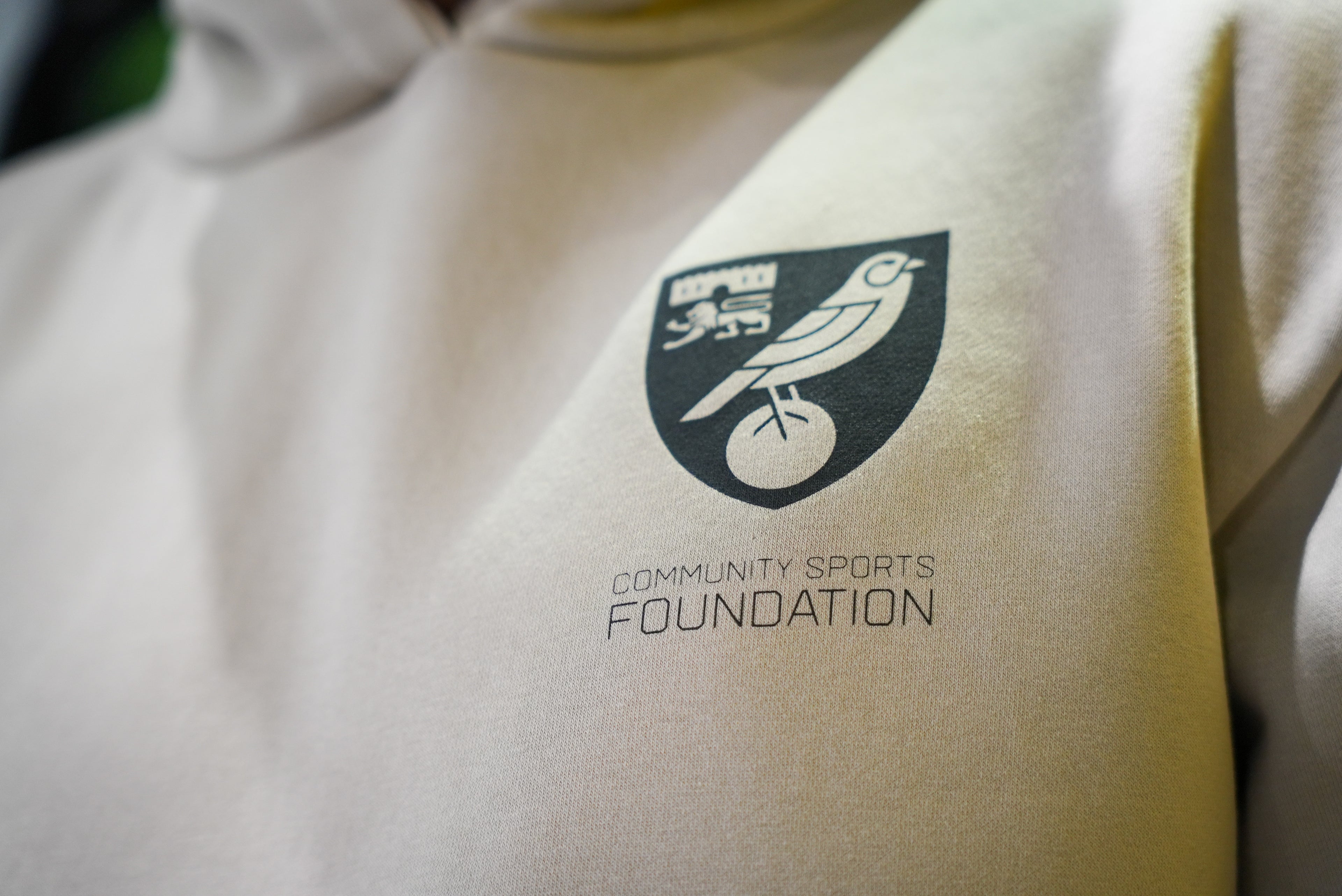 Foundation Hoodie - Stone